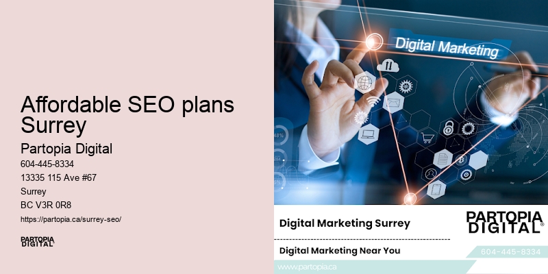 Custom SEO solutions Affordable SEO plans Surrey