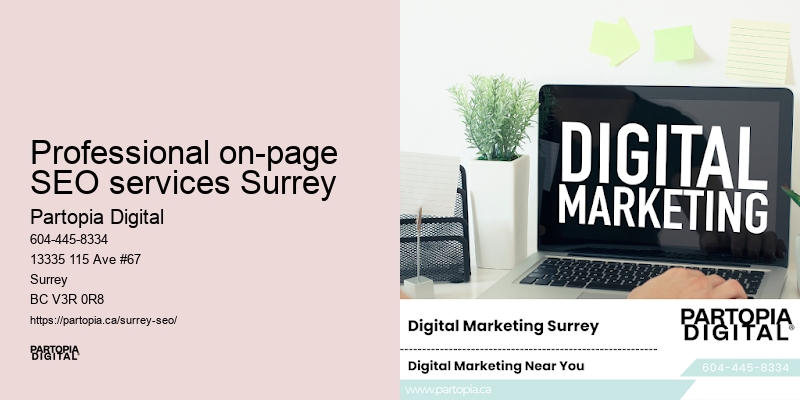 Top SEO Marketing Services Professional on-page SEO services Surrey