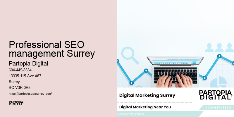 Professional SEO management Surrey SEO service providers