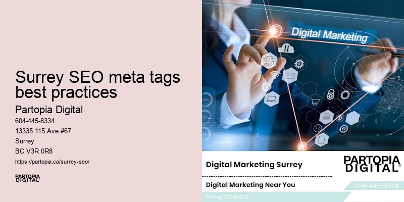 SEO support for Surrey SEO meta tags best practices startups